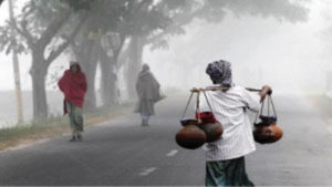 Winter Season in Bangladesh Nature, Beauty, and Life